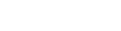 Intelligems